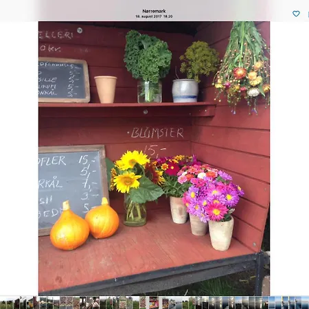 Appartamento Molevitten