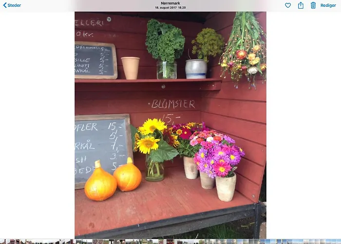 Apartment Molevitten